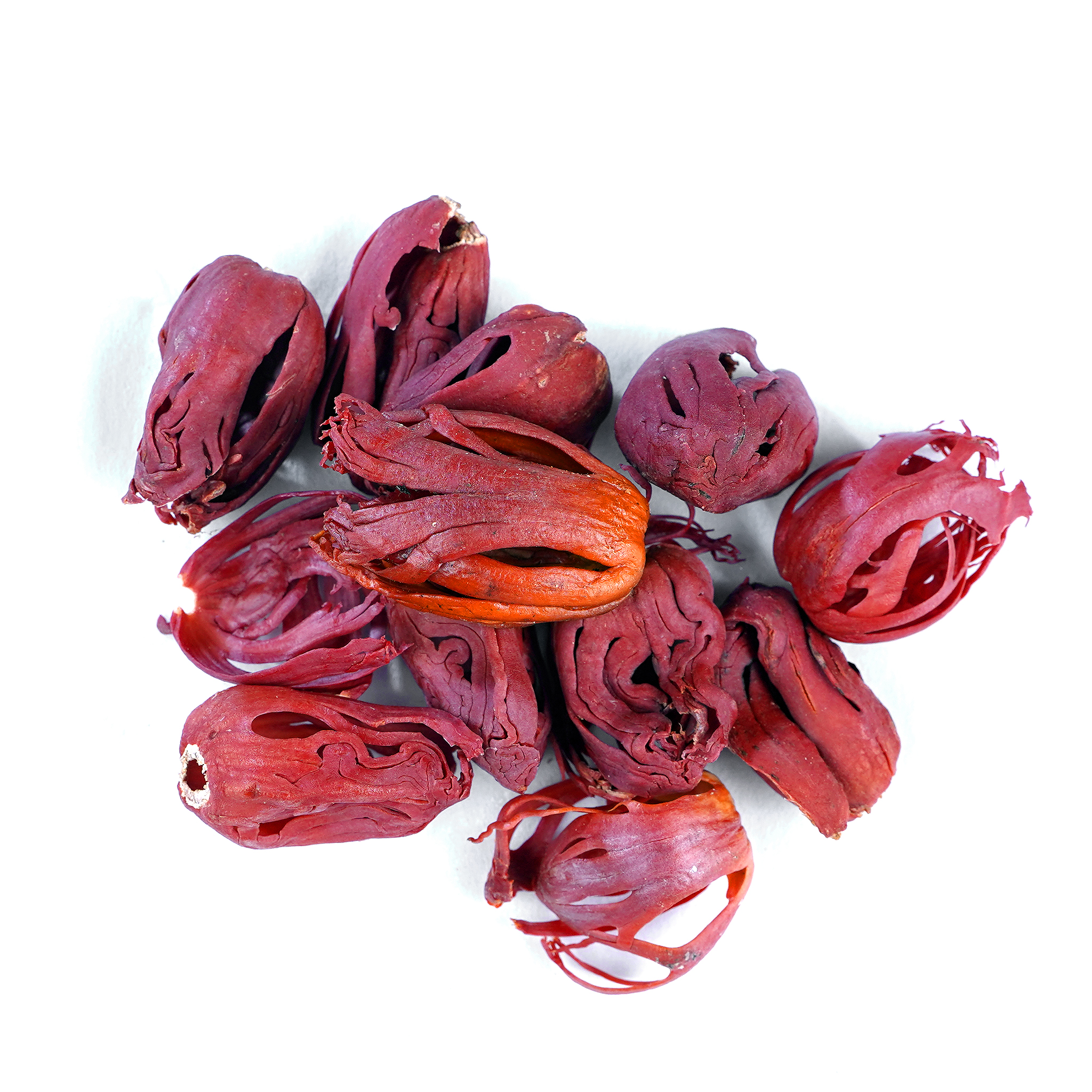 Nutmeg Flower